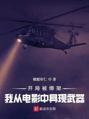 开局被绑架我从电影中具现武器 小说