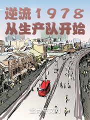 逆流1978从生产队开始笔趣