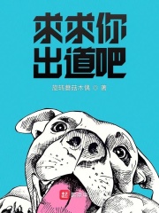 求求你出道吧TXT下载