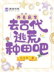 开着房车穿越小说