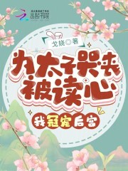 我为太子生孩子