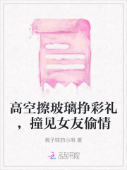 高空擦玻璃摔死