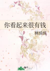 你看起来很有钱林绵绵