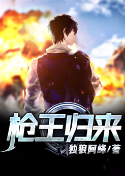枪王归来动漫