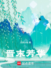 晋末芳华小说免费版