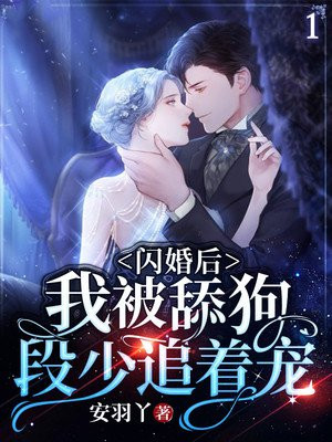 闪婚之后的小说