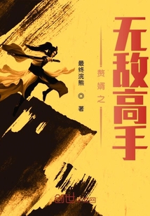 赘婿之无敌高手TXT下载