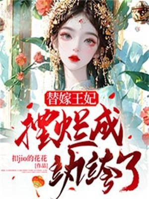 替嫁王妃的小说
