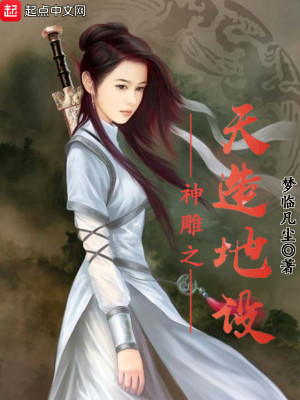 神雕之天造地设奇书