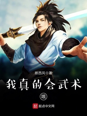 我真的会武术哦 断西风