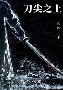 刀尖之上 小说