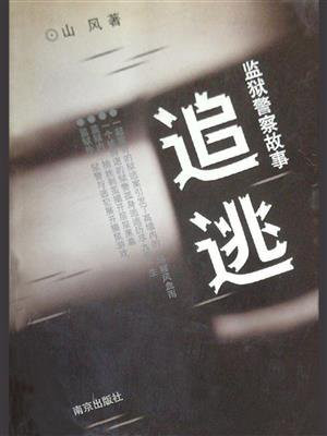追逃游戏