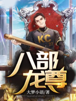 八部龙尊 小说