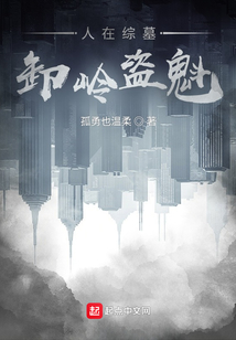 人在综墓,卸岭盗魁 小说