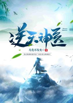 逆天神医九小姐
