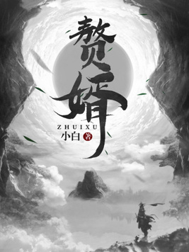 赘婿电视剧在线观看免费完整版高清