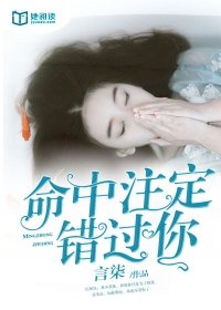 命中注定错过你小说