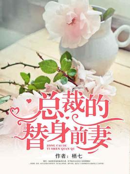 总裁的替身前妻有声小说免费