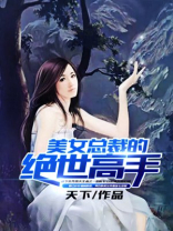 美女总裁的绝世高手 天下