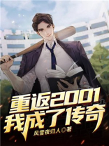 重回2001玩传奇小说