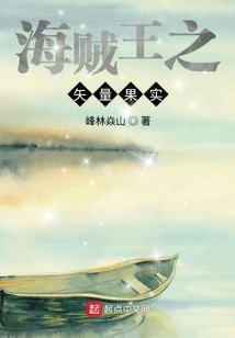 海贼王之矢量操纵