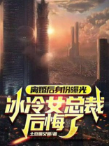 女总裁离婚又后悔的小说