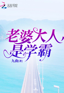 老婆大人是学霸全文免费阅读