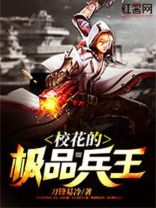 校花的极品兵王,杨轩小说