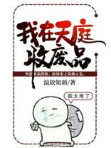 我在天庭收废品TXT