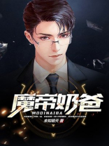都市魔帝奶爸