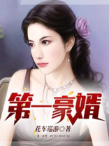 第一豪婿叶辰萧初然免费阅读