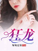 狂龙紫电