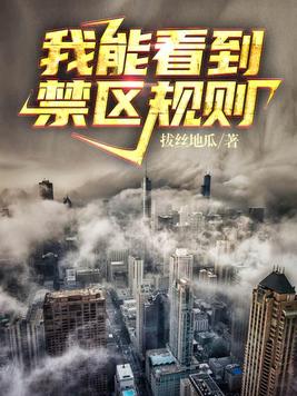 我能看到禁区规则txt