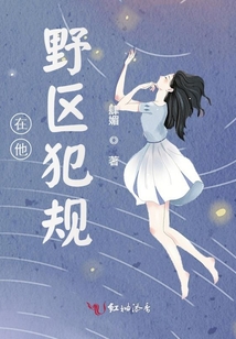 在他野区犯规免费阅读全文