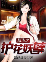 都市之护花妖孽 小说