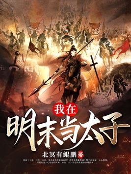 我在明末当太子 林海飞扬