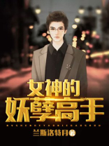 女神的妖孽高手第二部