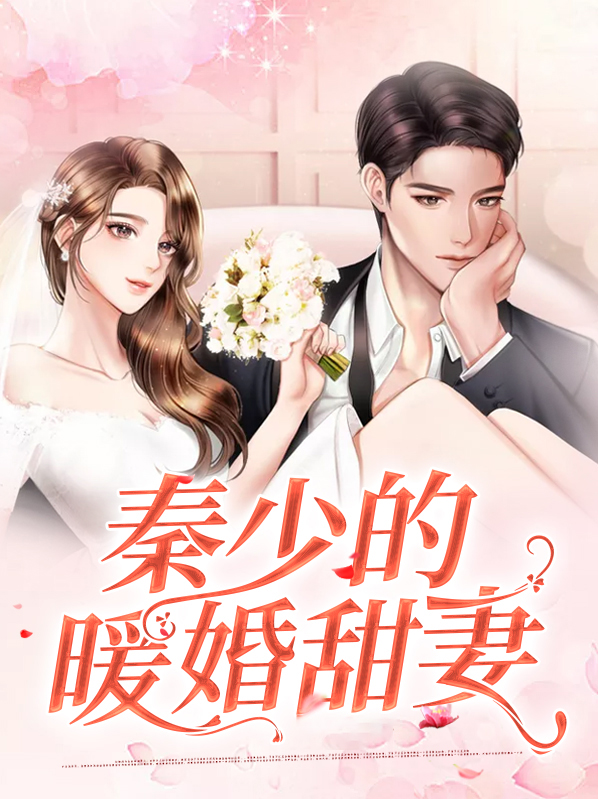 秦少的暖婚百度云