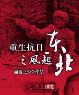 重生抗日之风起东北 第10章