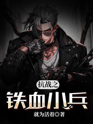 抗战之铁血小兵TXT下载