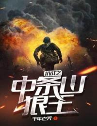 抗战之中条山狼王 第14章