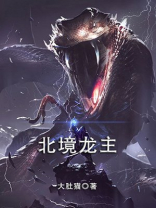 北境龙主 小说
