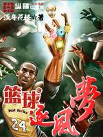 篮球逐风梦 小说