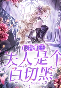 报告夫人报