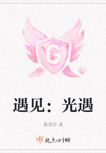 遇见:光遇 小说