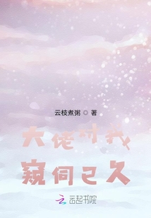 大佬对我执迷不悟 小说