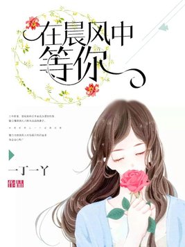 在晨风中等你小说