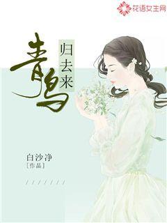 青鸟归去来小说