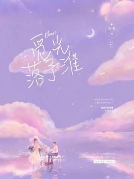 觅光同行小说