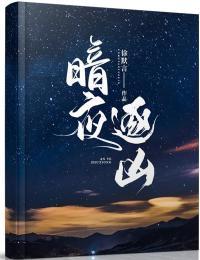 暗夜逐凶大结局解析